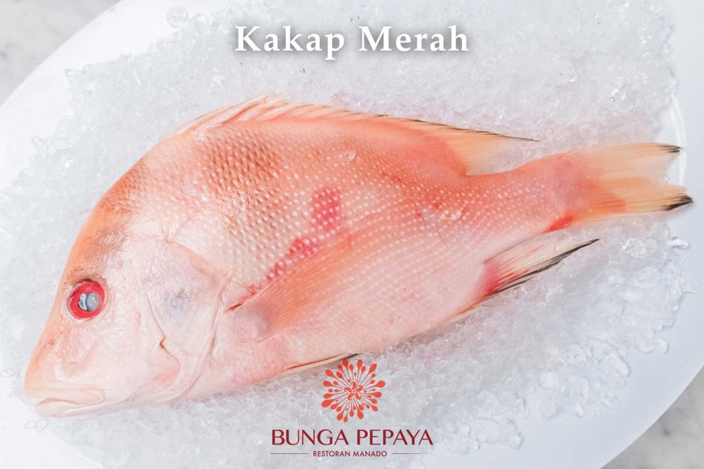 01 Ikan Kakap 00 Merah Bunga Pepaya